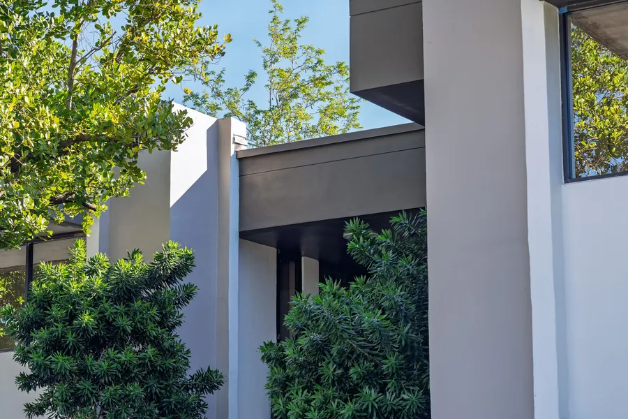 Architectural columns and tropical greenery